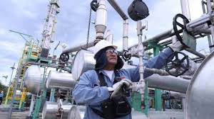 Minem exhorta a las empresas a usar combustibles sustitutos al gas&nbsp;natural